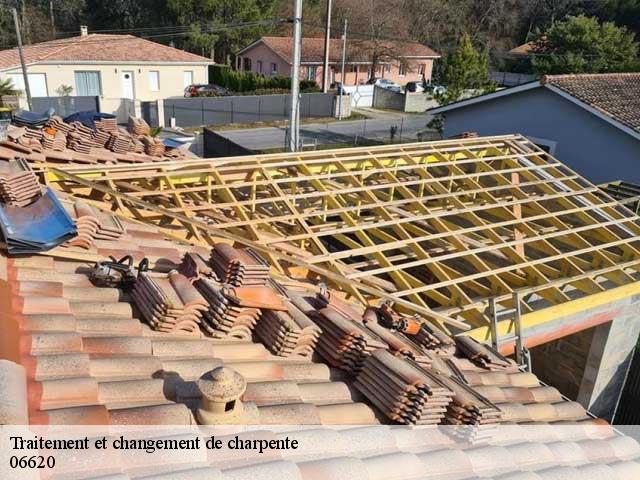 Traitement et changement de charpente  06620